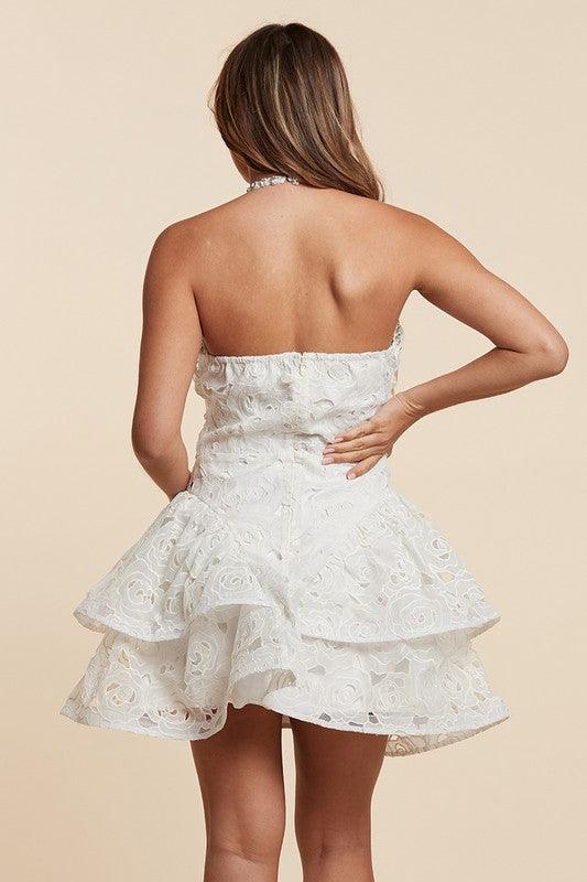 Luminous Lace Ombre mini  Dress PRIVILEGE