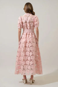 EMBRODERIY Midnight Rose Aveline Collared Maxi Dress PRIVILEGE