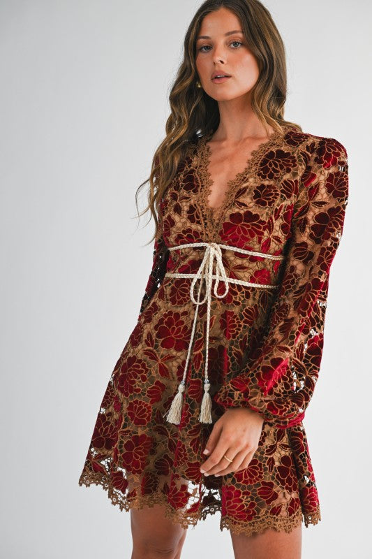 Velvet Embroidered Lace Dress