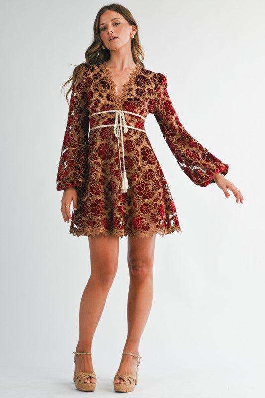 Velvet Embroidered Lace Dress