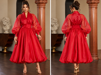 Bellz Sheer Balloon Sleeve Bubble Hem Midi Dress