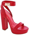 Ankle Strap Platform Chunky High Heel Dress Shoes - PRIVILEGE 